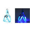 Arnés de perro LED azul iluminado mostrado contra un fondo oscuro.