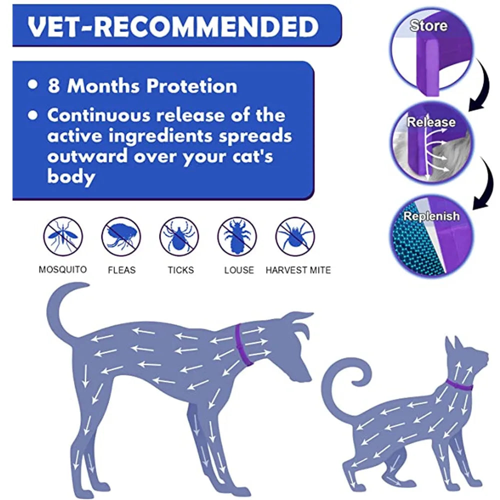 A purple collar designed to spread active ingredients over a cat's body for protection against mosquitoes, fleas, ticks, lous