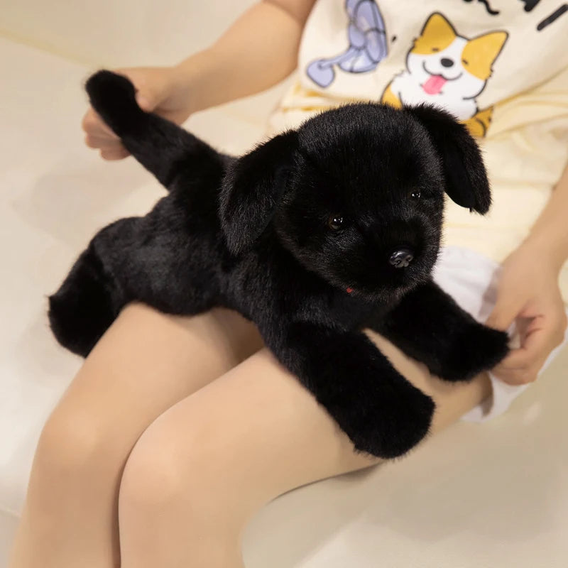 A small black puppy plush toy is being held by a person, resting on a white surface.