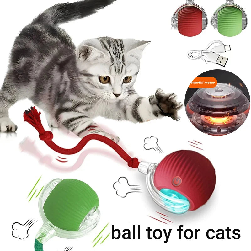A striped kitten plays with a red and green interactive rolling ball toy for cats.