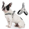 A white and black bulldog wearing a gray adjustable reflective mesh dog harness vest.