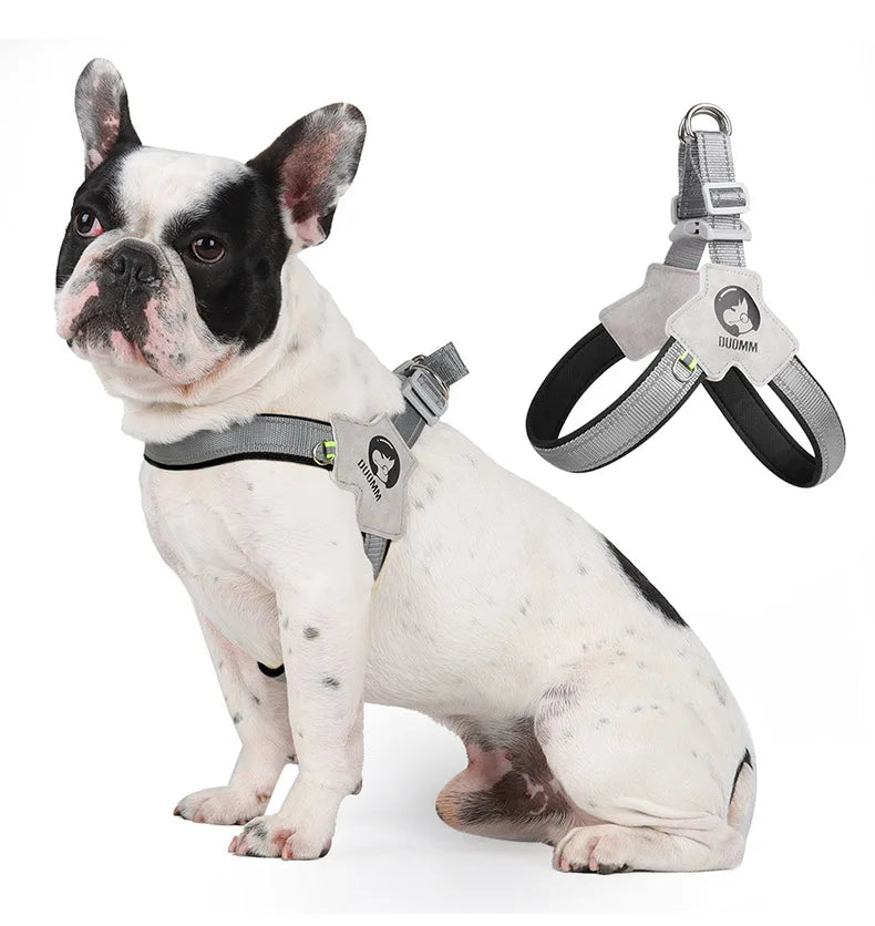 A white and black bulldog wearing a gray adjustable reflective mesh dog harness vest.