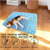 Alfombrilla de enfriamiento azul para mascotas con un perro, enfatizando que el material es apto para la piel y libre de sust