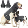 A light-colored dog wearing a gray calming anxiety vest, with two separate vests shown nearby.