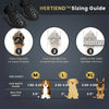 Sizing guide for pet rain boots showing measurements and paw size charts for different dog sizes.