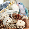 Boîte de jouet naturelle à la cueillette remplie de cônes de pin, morceaux de bois et deux oiseaux de compagnie.
