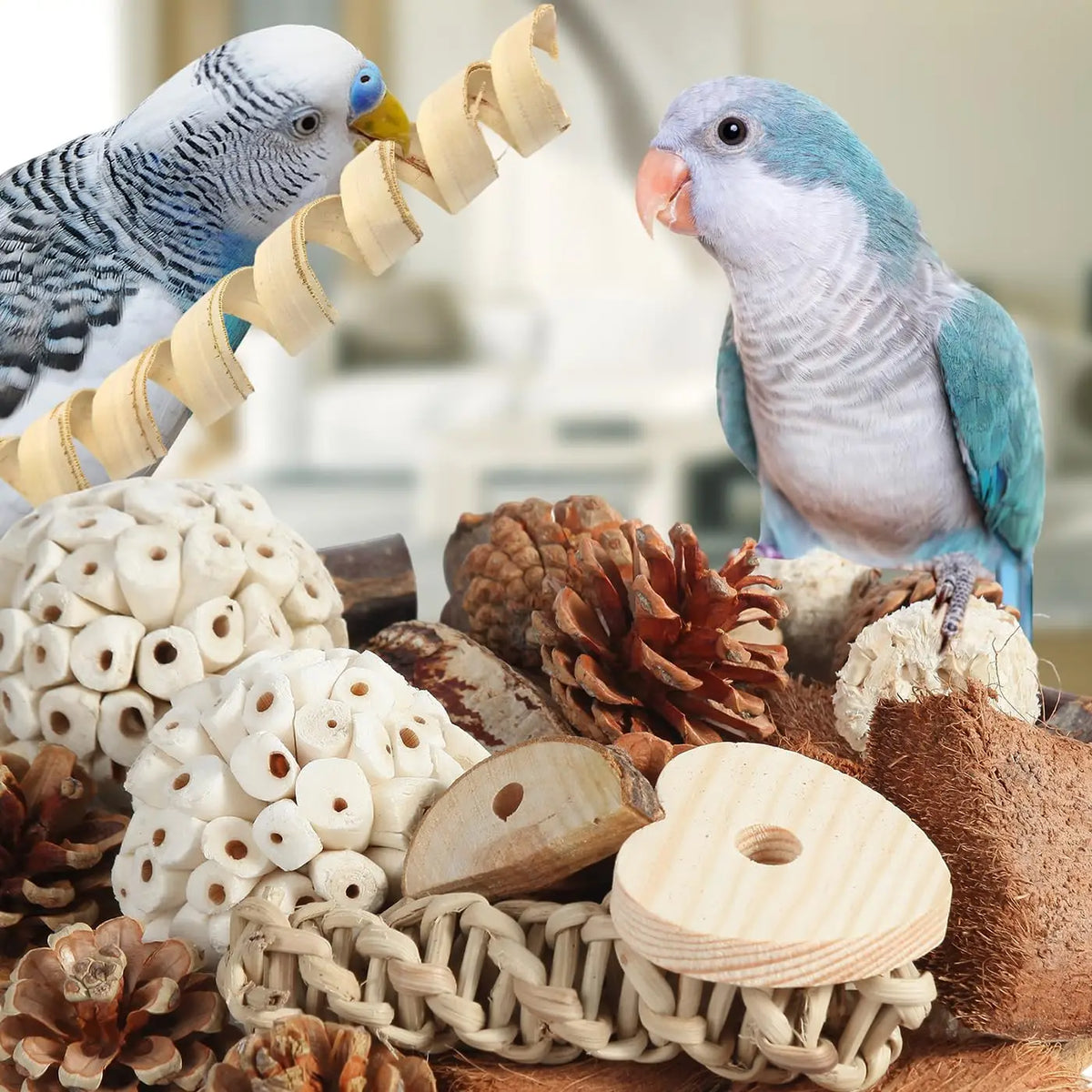 Boîte de jouet naturelle à la cueillette remplie de cônes de pin, morceaux de bois et deux oiseaux de compagnie.