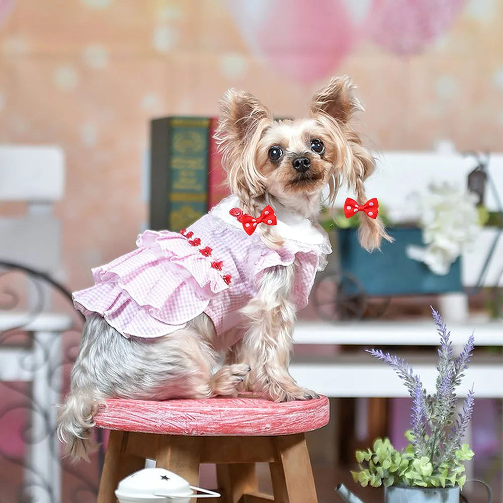 A small, fluffy dog is wearing a pink polka dot pet bow accessory.