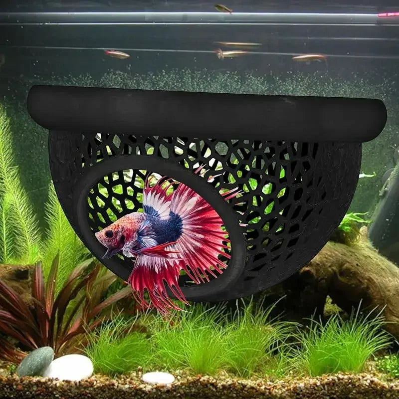 Schwarze Hängematte-Struktur für Bettafische und Garnelen in einem Aquarium mit Wasserpflanzen.