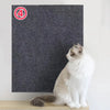 Eine weiße Katze sitzt auf einer dunklen Matte mit einem kreisförmigen Warnschild, das '4' für Kratzschutz anzeigt.