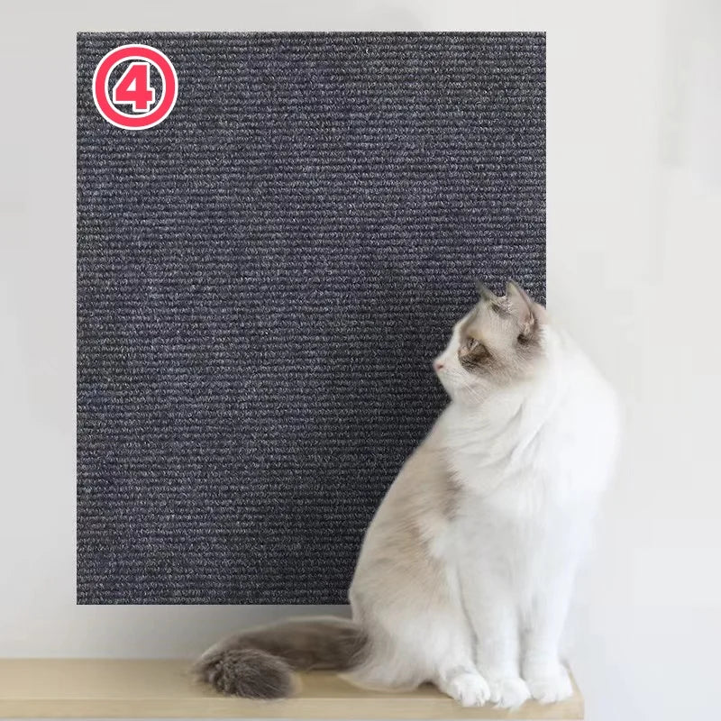 Eine weiße Katze sitzt auf einer dunklen Matte mit einem kreisförmigen Warnschild, das '4' für Kratzschutz anzeigt.