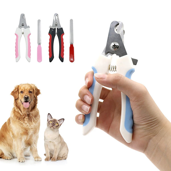 A hand holds a pair of stainless steel pet nail clippers, with various sizes and colors displayed nearby.