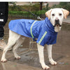 A white dog wearing a blue waterproof raincoat with reflective stripes standing on wet pavement.