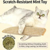 A fluffy gray and white cat is resting on a beige scratch-resistant mint toy, with a bag of green catnip visible nearby.