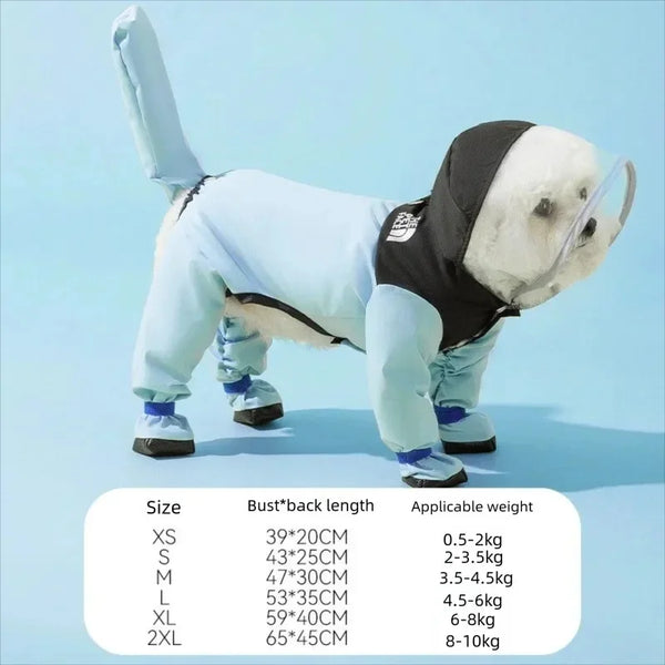 Un cachorro blanco vistiendo un impermeable azul claro con ribetes negros, de pie sobre una superficie azul claro.