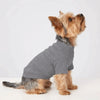 A small, light brown dog wearing a gray cozy winter sweater.