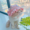 A fluffy orange and white cat wearing a pink knitted pet hat sits by a window with green foliage in the foreground.
