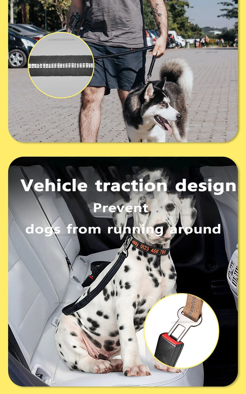 A dog wearing a reflective bungee leash with a car seatbelt clip sits in the back seat of a vehicle.