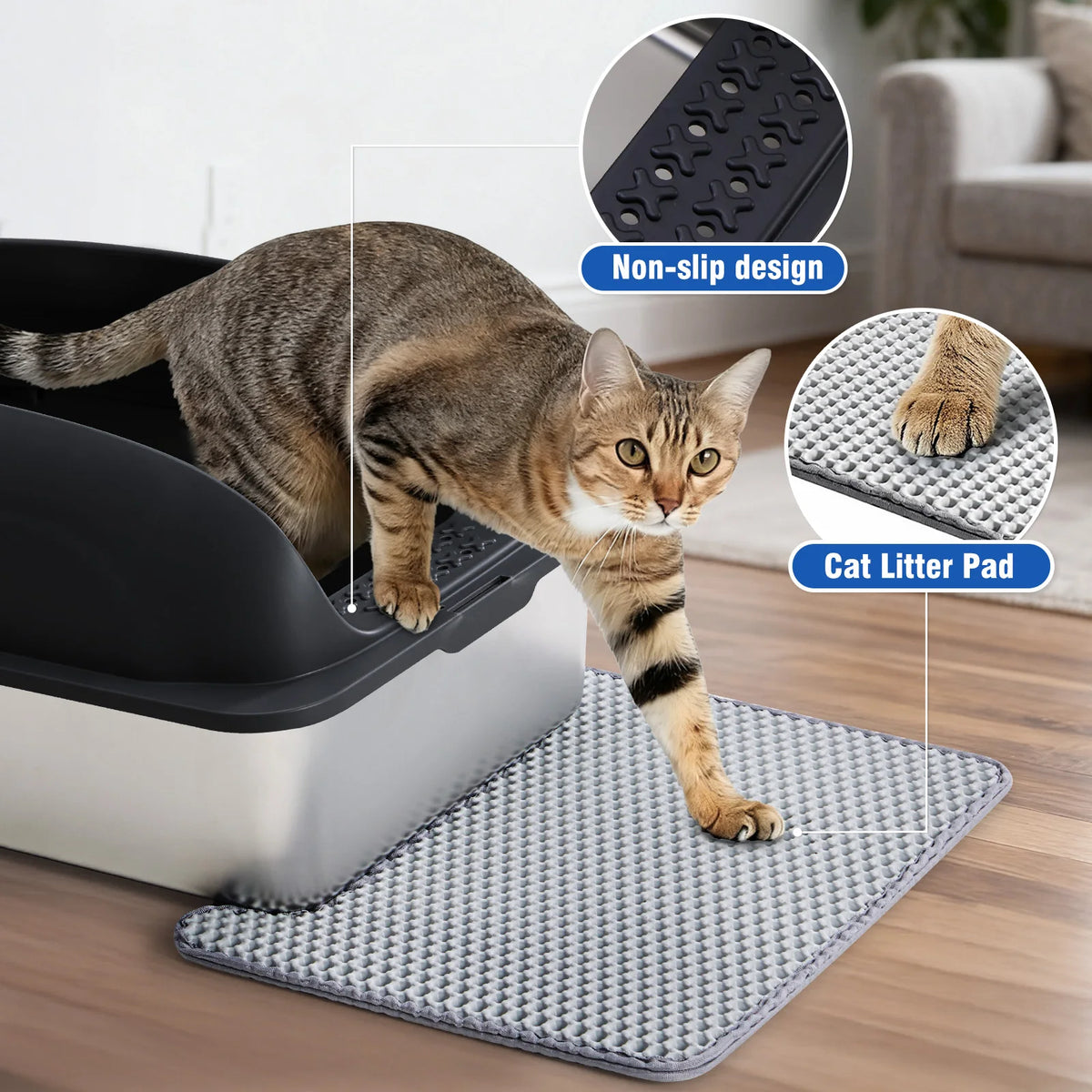 Un chat tigré se tient sur un bac à litière en acier inoxydable.
