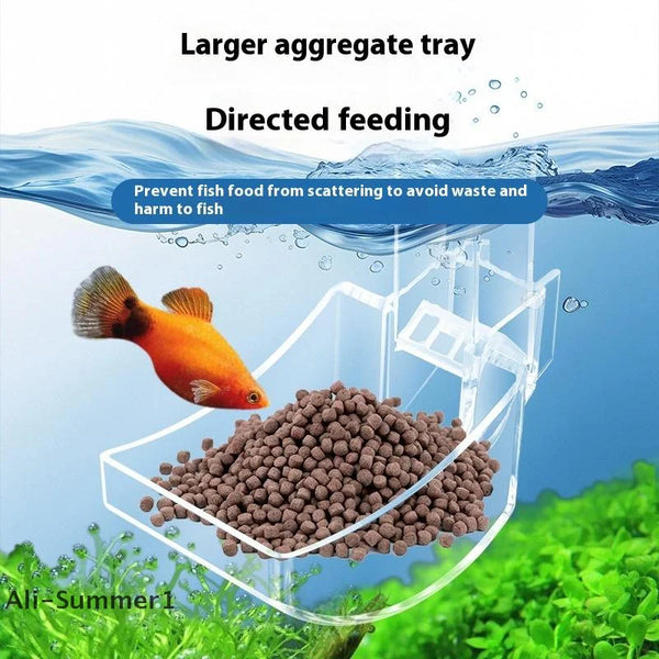 A transparent acrylic feeding tray with a larger aggregate tray for directed fish feeding.