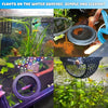 A collection of floats on the water surface featuring various decorative hammocks for betta and shrimp aquariums.