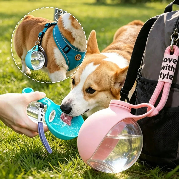 A pink portable pet water bottle with a lanyard is being offered to a dog, with another dog visible in the background.