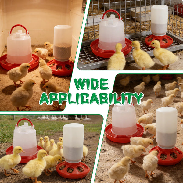 A set of automatic chicken feeder and waterer combo, featuring red and white components, placed on a wire grate.