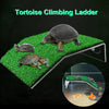 Tortue grimpant une échelle, présentée sur une plateforme verte avec d'autres tortues dans un habitat de reptiles.
