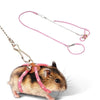 Un pequeño roedor marrón junto a un arnés y correa para mascota rosa ajustable.
