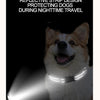 A dog wearing a reflective strip design collar during nighttime travel.
