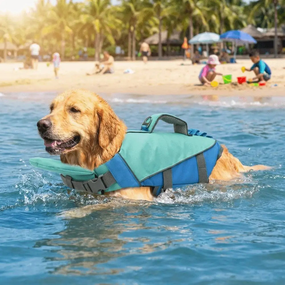 A golden retriever wearing a blue and green life jacket swims in clear water near a beach.