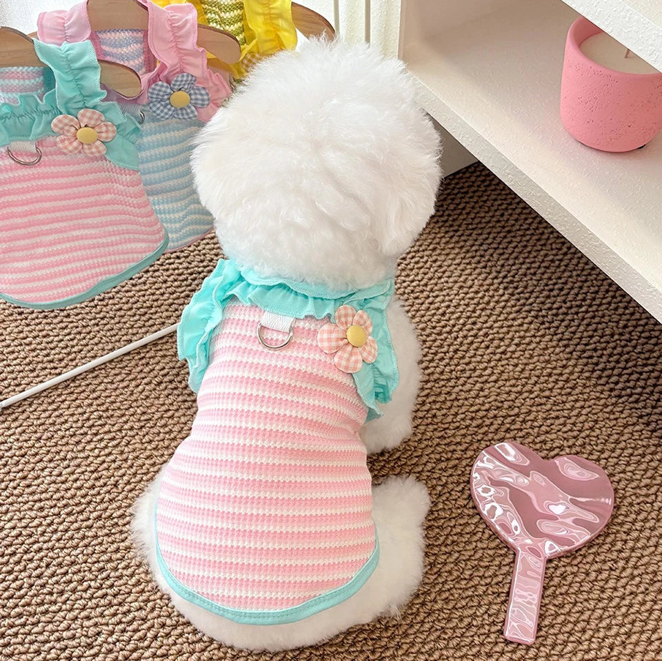 Ein flauschiger weißer Hund trägt eine rosa Rüschen-Sommerweste mit hellblauer Borte und sitzt auf einem braunen Teppich.