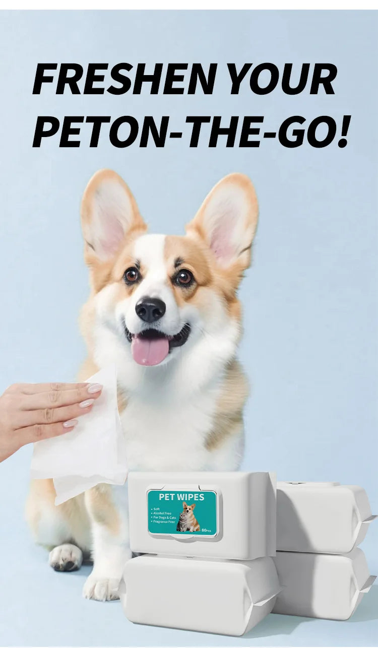 A happy Shiba Inu dog is looking at the camera next to a box of pet wipes.