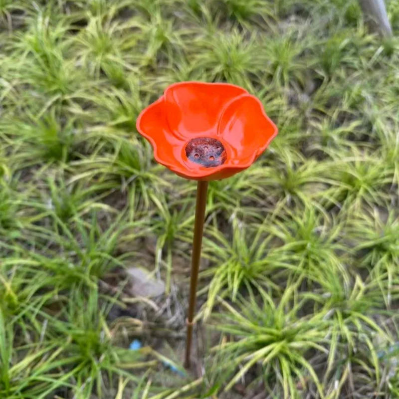A bright orange, cup-shaped flower with a dark center is growing on a thin stem in green grass.