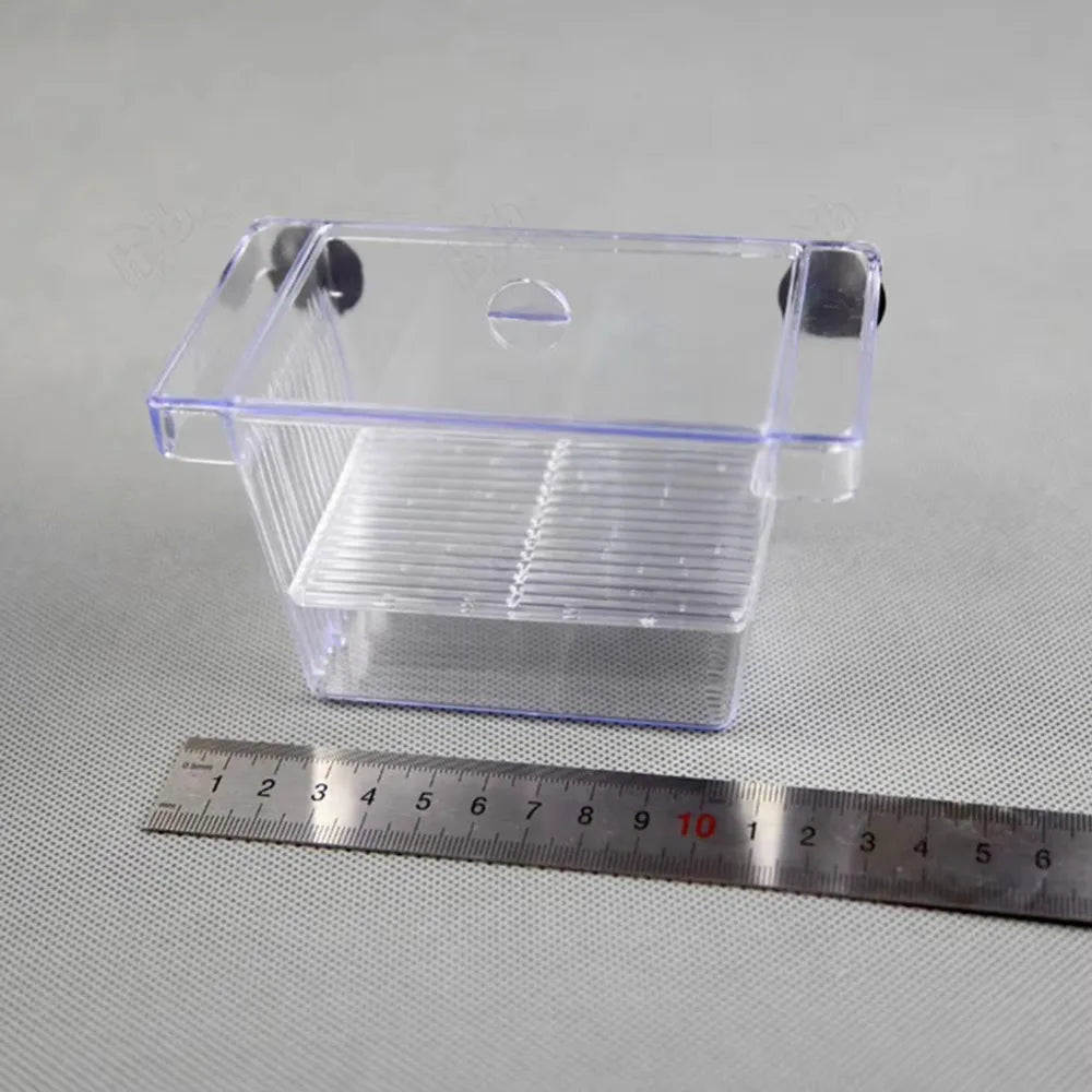Clear acrylic fish breeding incubator with a transparent lid and slotted base