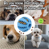 A collection of dogs interacting with an interactive treat-dispensing rubber ball for dogs.