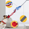 A dog is playing with a red rope toy, which is attached to a gray and blue tug-of-war rope.