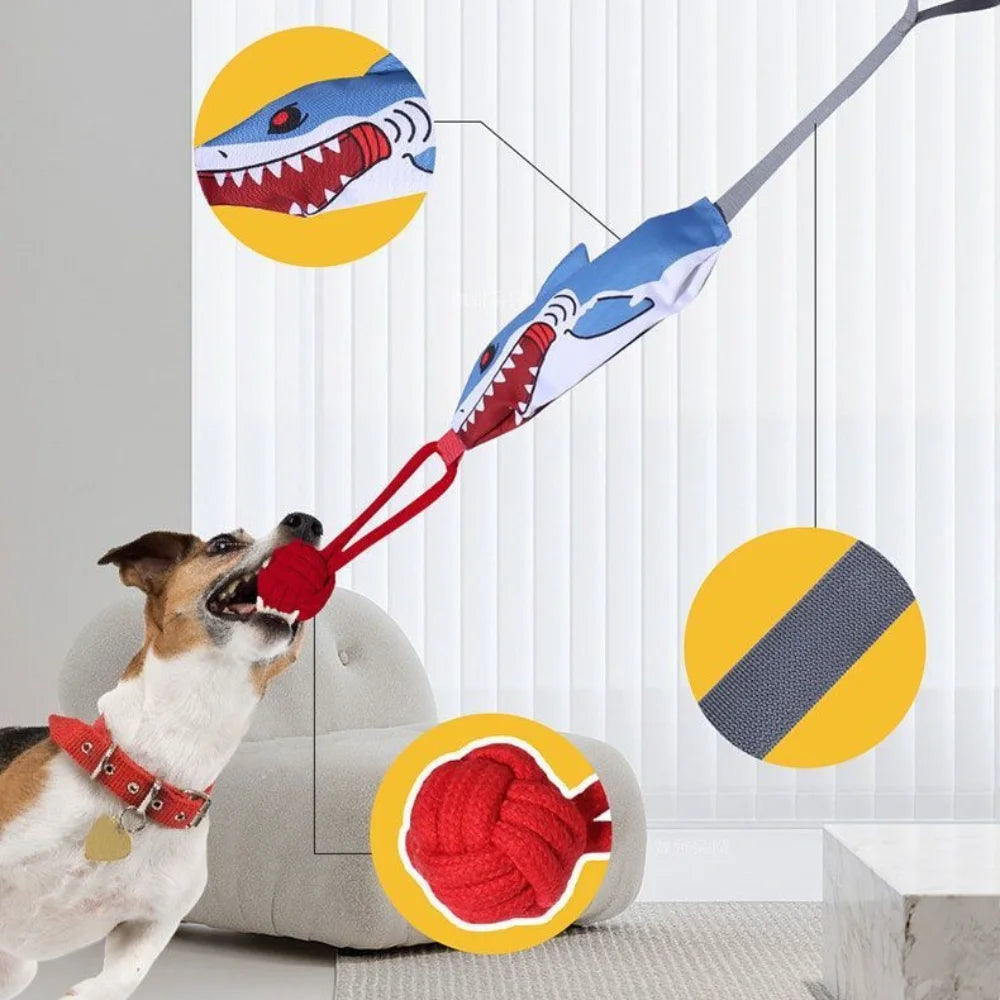 A dog is playing with a red rope toy, which is attached to a gray and blue tug-of-war rope.