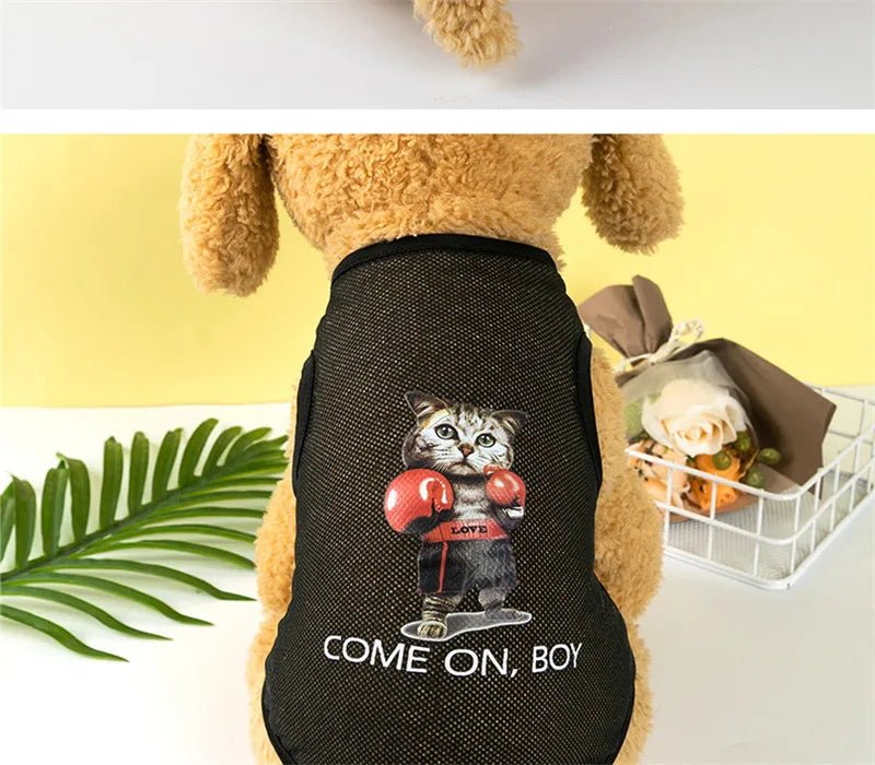 A fluffy dog wearing a black breathable mesh vest with a cartoon cat print and the text Come On Boy.