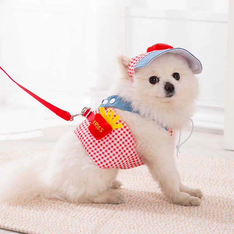 Un chien blanc et duveteux portant un chapeau rouge et bleu et un harnais avec une laisse rouge.