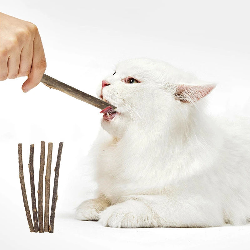 A white cat is licking a stick while another hand holds it, with several natural herbal cat chew sticks nearby.