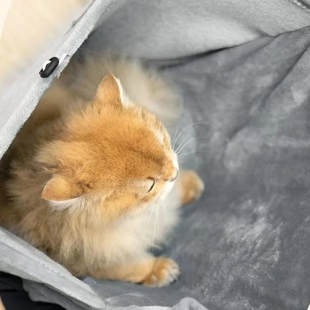 Un gatito naranja atigrado y esponjoso visible dentro de un pet carrier gris para exteriores.