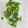 Plante d'ivy artificielle verte aux feuilles luxuriantes sur fond blanc.