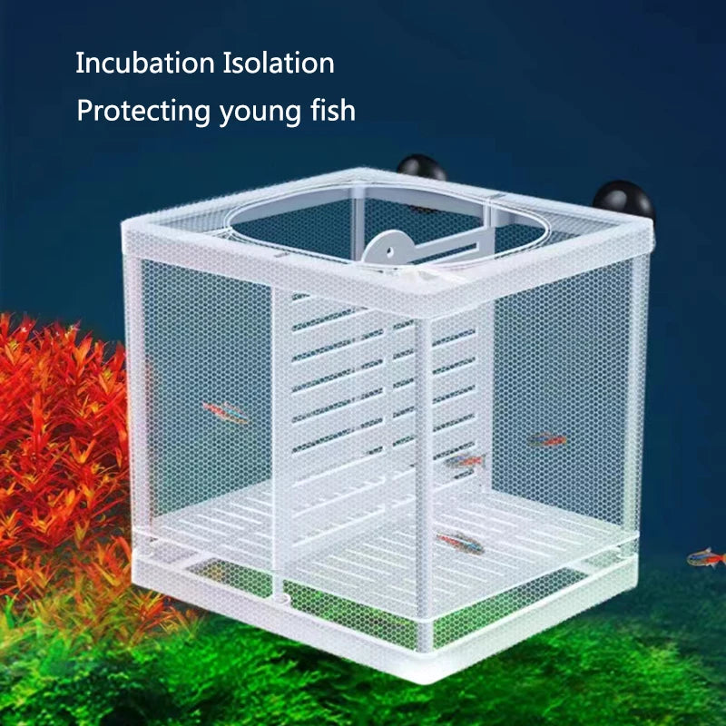White incubation isolation box for protecting young fish with suction cups placed on green foliage.
