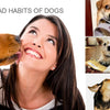 A woman is correcting a dog's behavior while training it with an upgraded waterproof dog training collar.