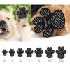A set of black anti-slip paw grips in various sizes (XS to XXXL) shown next to a light-colored dog.