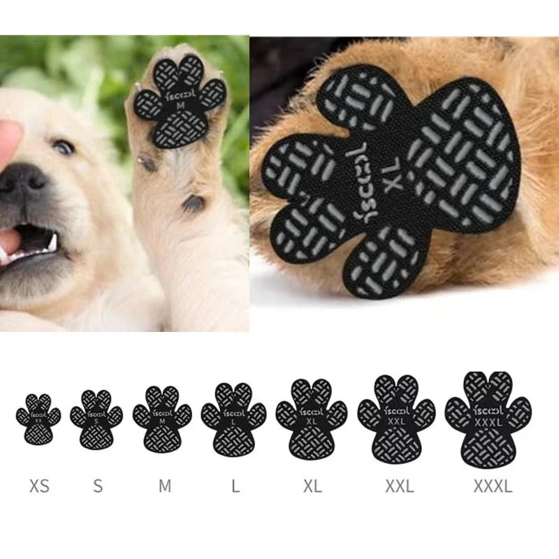 A set of black anti-slip paw grips in various sizes (XS to XXXL) shown next to a light-colored dog.