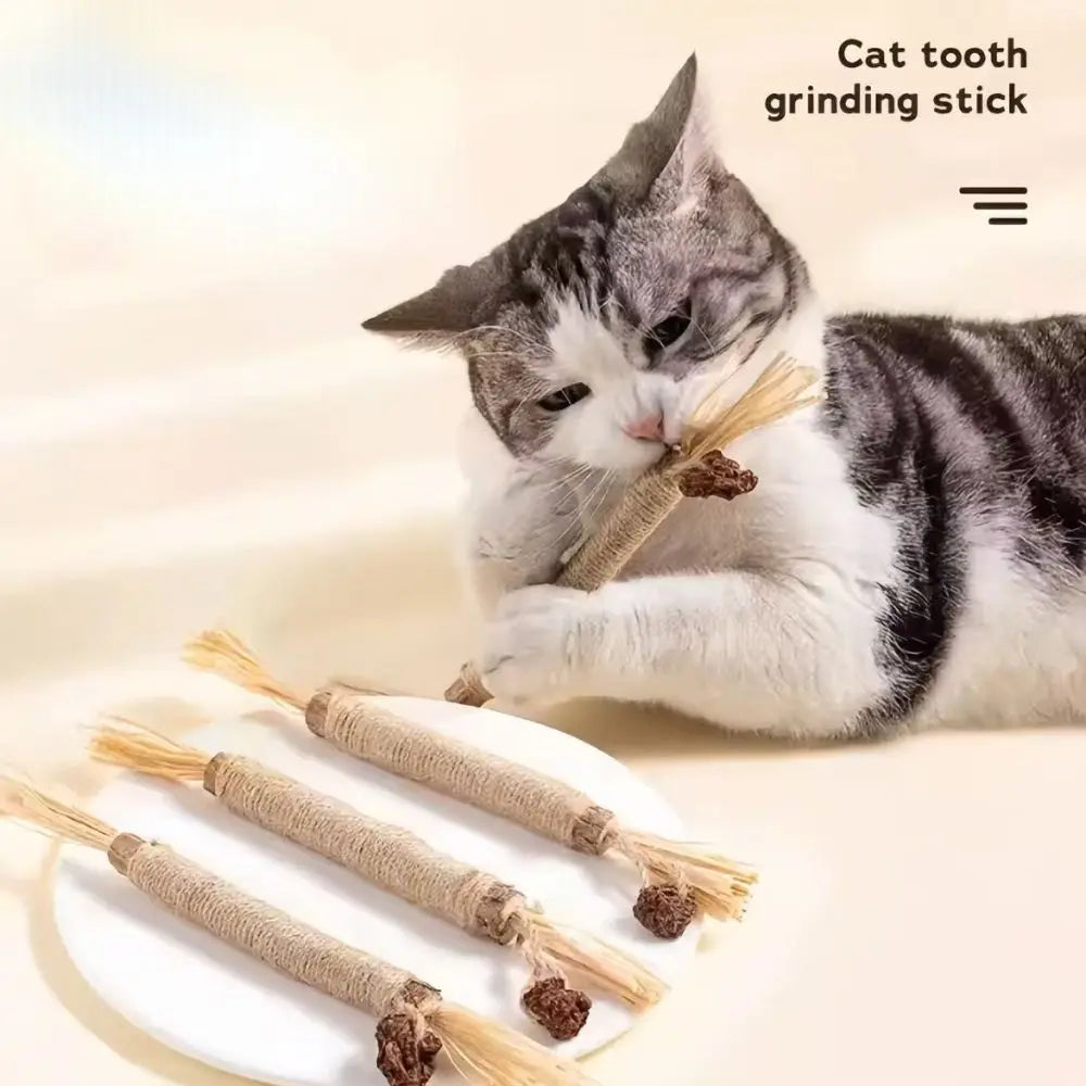 A tabby cat is using a natural silver vine cat tooth grinding stick for dental health.