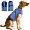 Goldfarbiger Hund mit blauem beruhigendem Angst-Vest, gezeigt zusammen mit Produktansichten.
