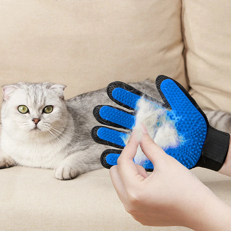 A hand is using a blue silicone pet grooming glove on a gray cat.